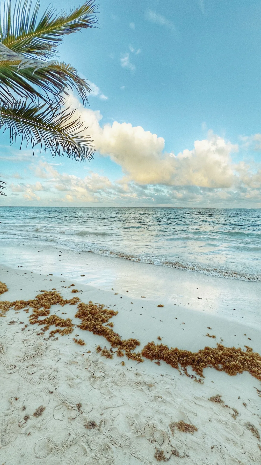 Palmenstrand bei Punta Cana in der Dominikanischen Republik