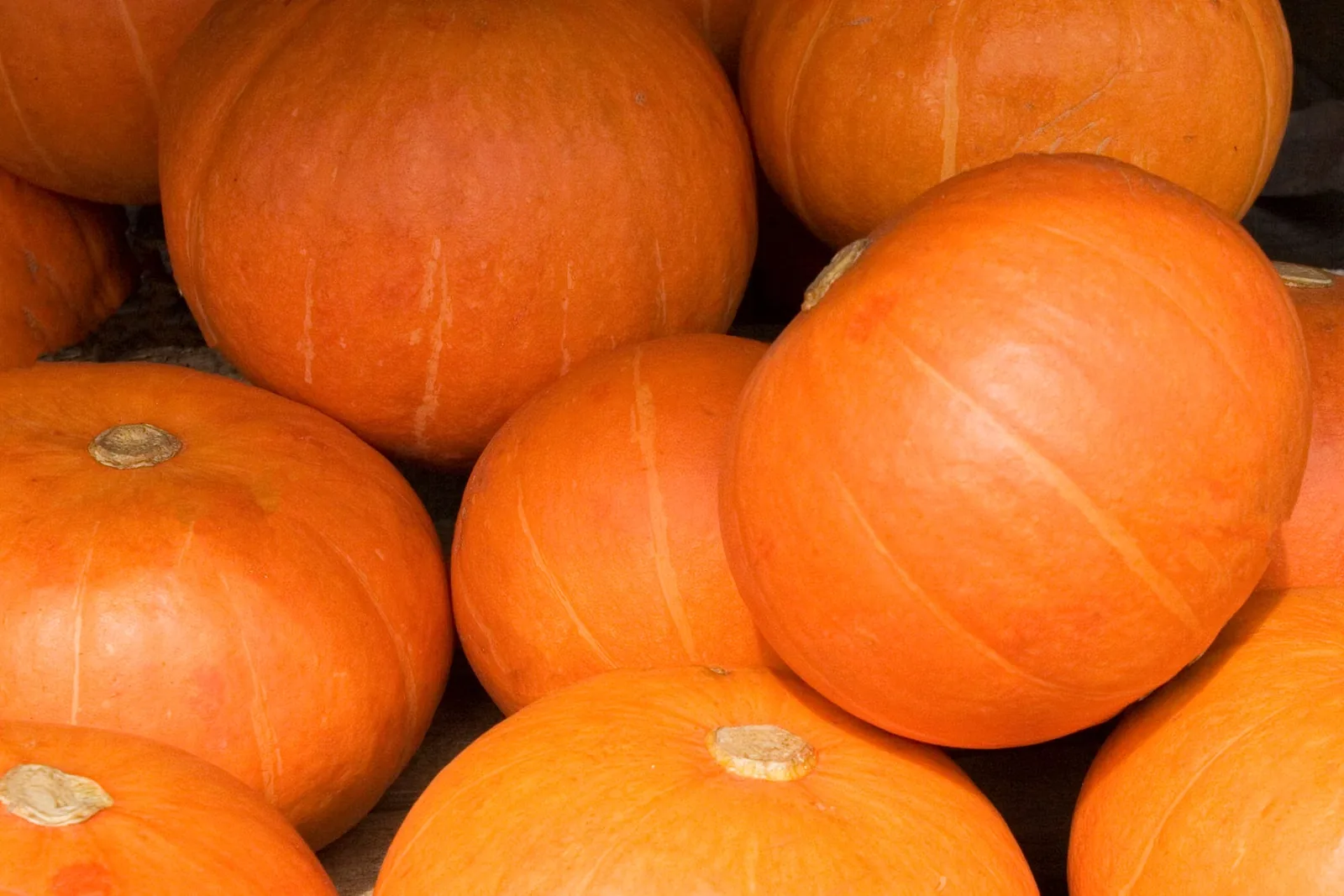 Fairmont La Hacienda: Halloweenprogramm ab 19. Oktober