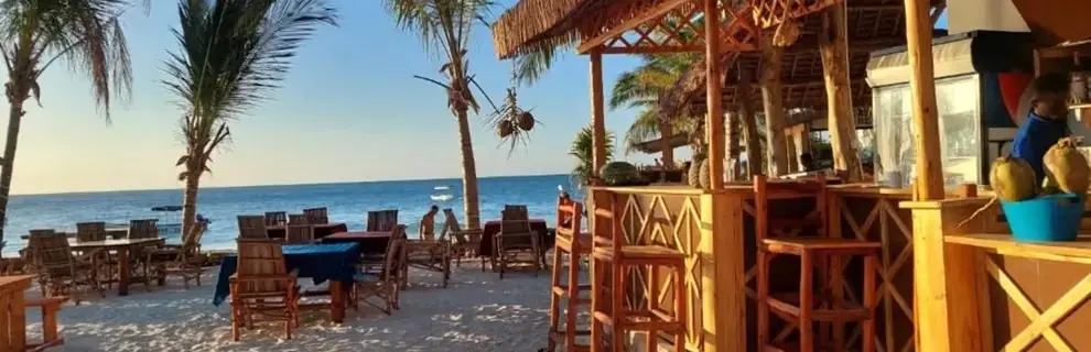 Aquarium Beach
