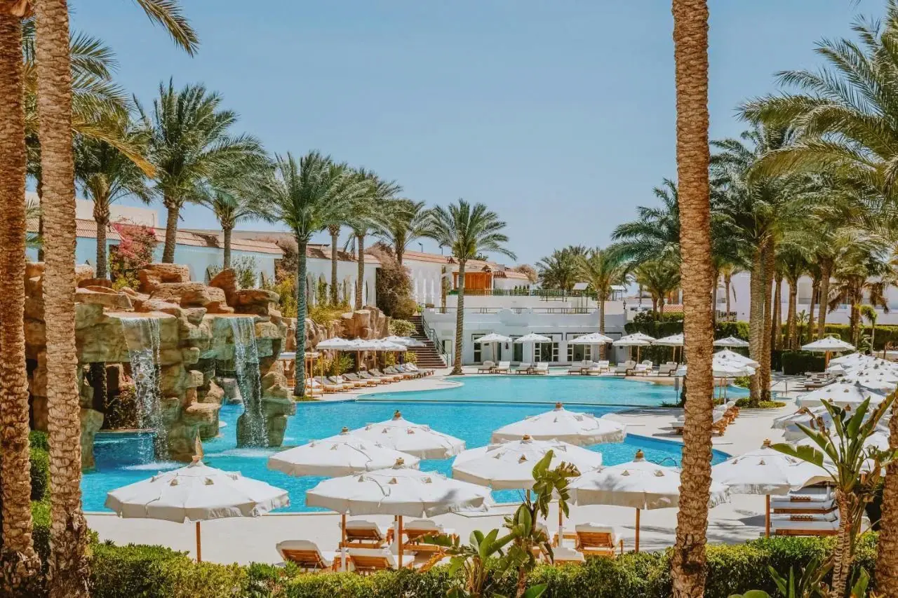 Baron Palms