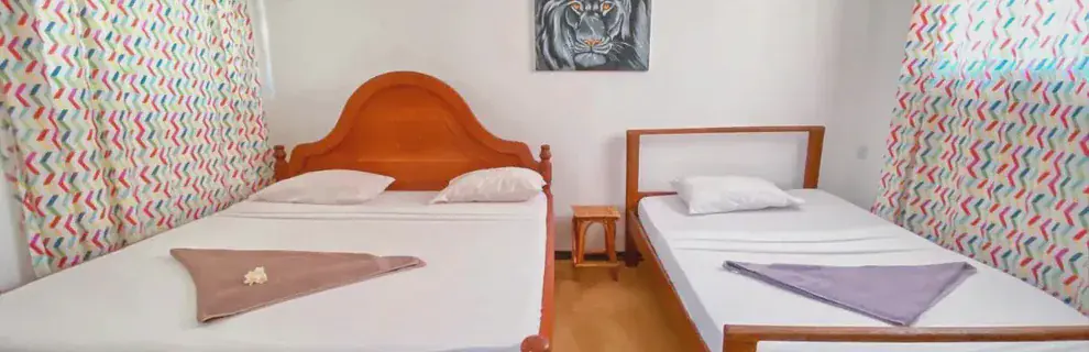 Papaya Guest House