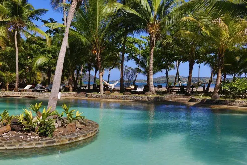 Ravintsara Wellness